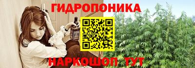 герыч Новодвинск