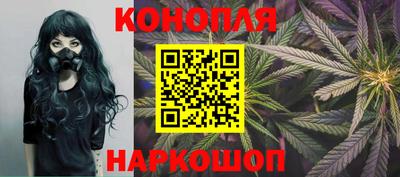 spice Новозыбков