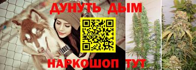 дживик Новокубанск