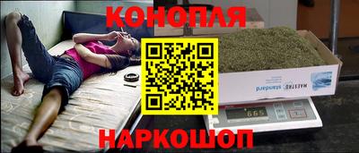 spice Новозыбков