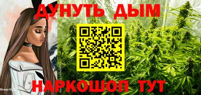 spice Новозыбков