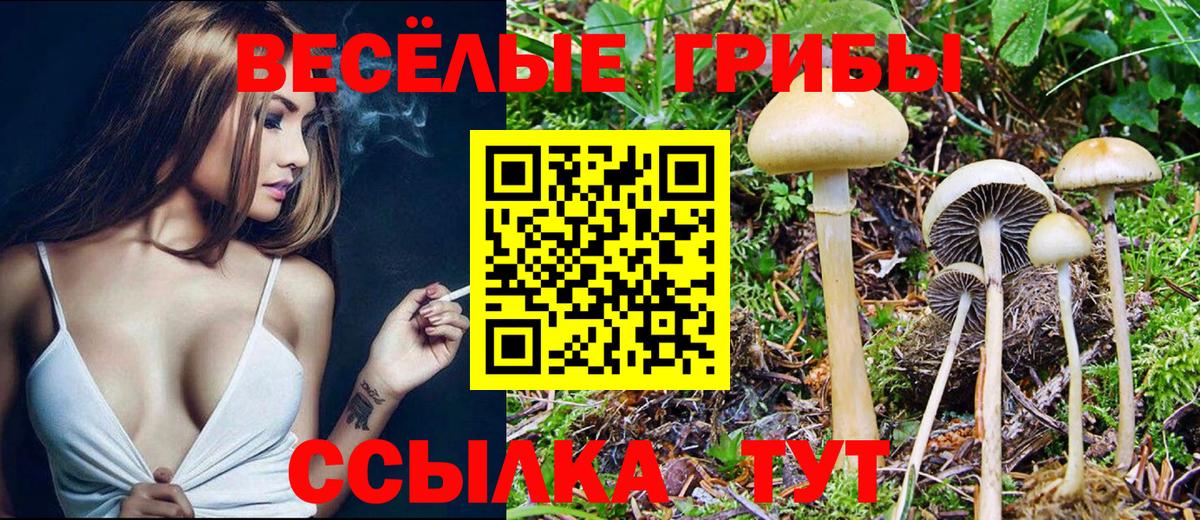 Галлюциногенные грибы мухоморы Чехов