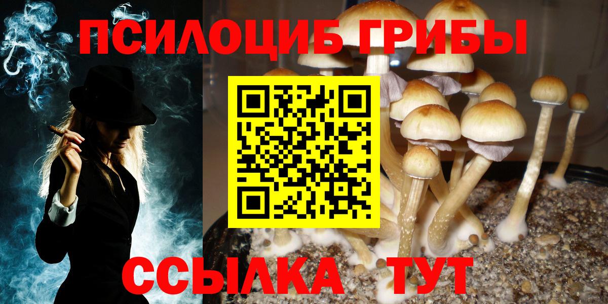 Чехов  Галлюциногенные грибы мухоморы  Вход с VPN  Галлюциногенные грибы прущие грибы 